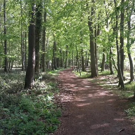 בית נופש Wellness Nr 8 קלנהוזן