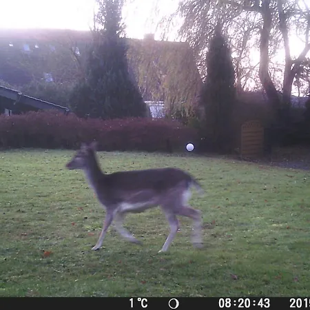 בית נופש Wellness Nr 8 קלנהוזן