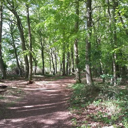 Wellness Nr 8 קלנהוזן