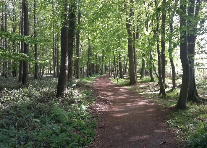 Casa de Férias Wellness Nr 8 Kellenhusen