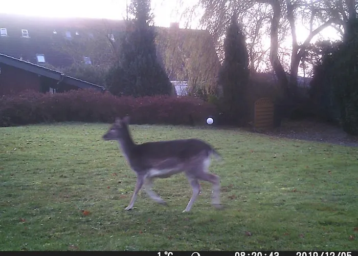 Casa de Férias Wellness Nr 8 Kellenhusen